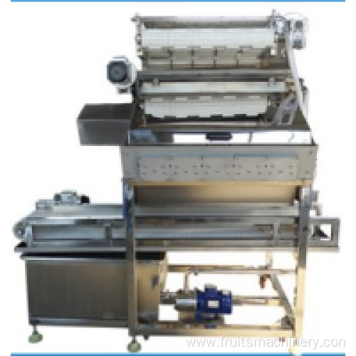 Commercial shrimp shelling line